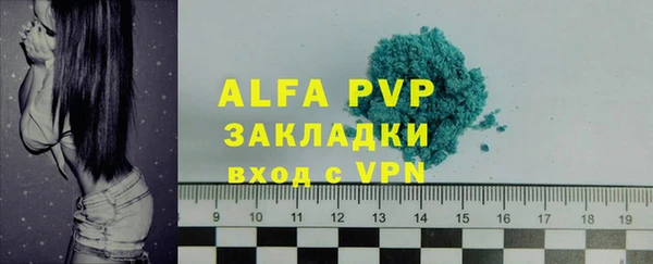 гашик Нея